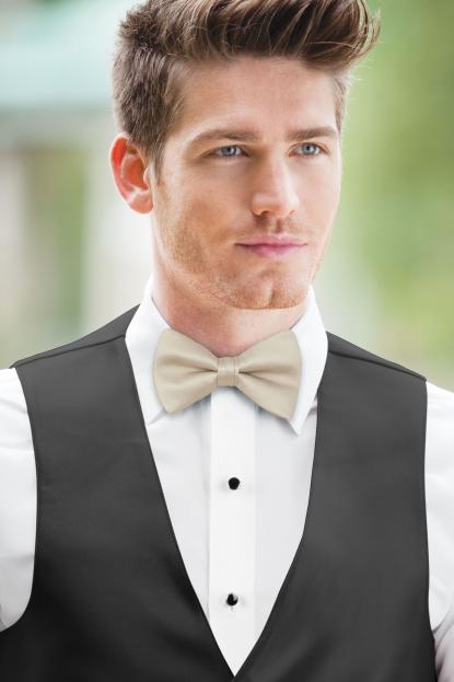 Frost Simply Solids Bow Tie